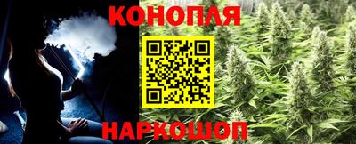 гидропоника Краснознаменск