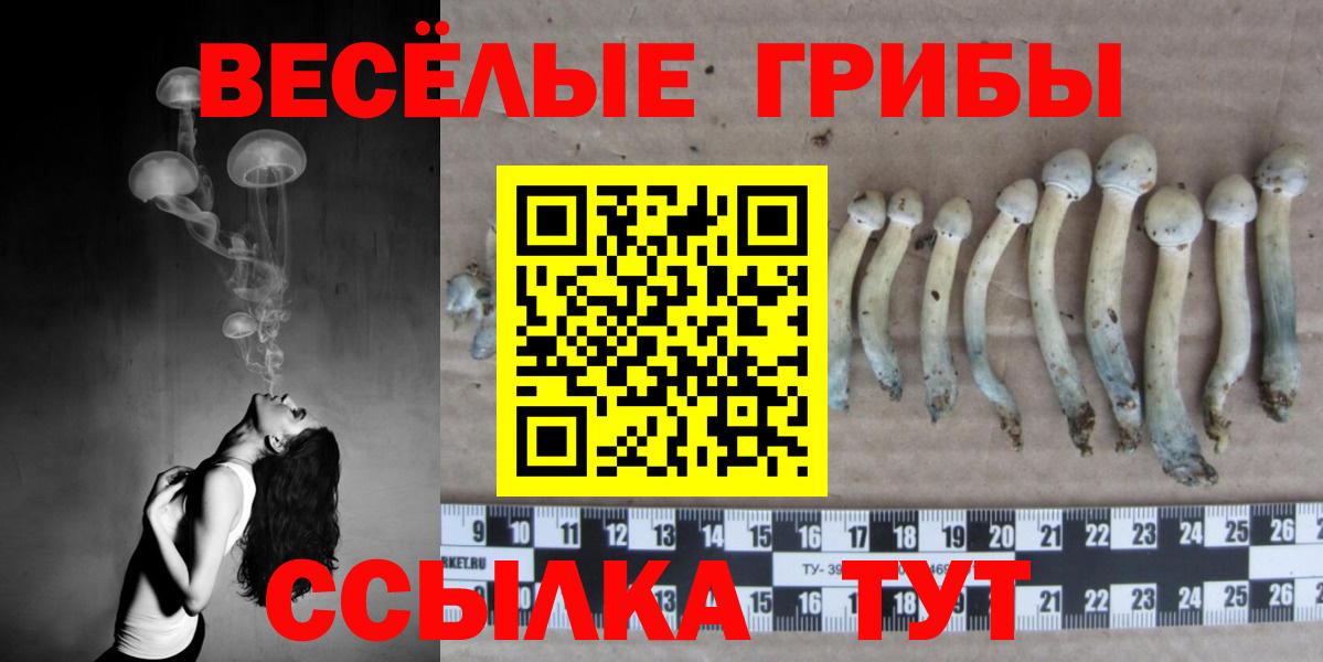 Псилоцибиновые грибы Cubensis Зеленокумск